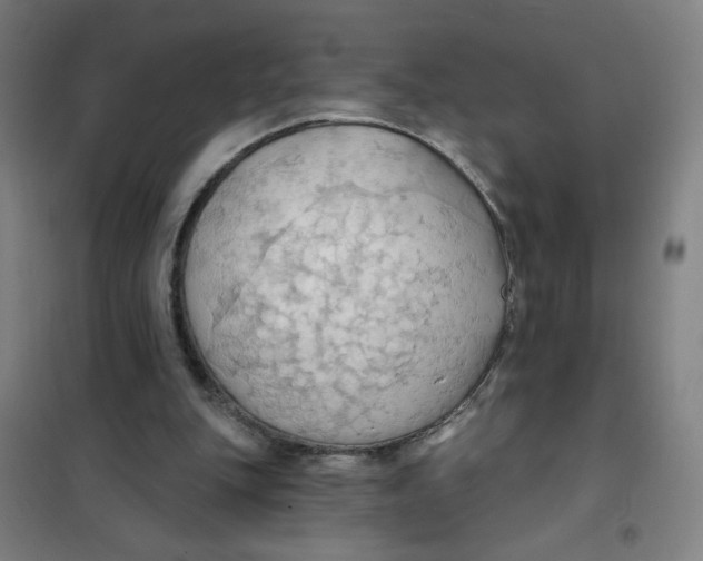 X0000101210151200807251056