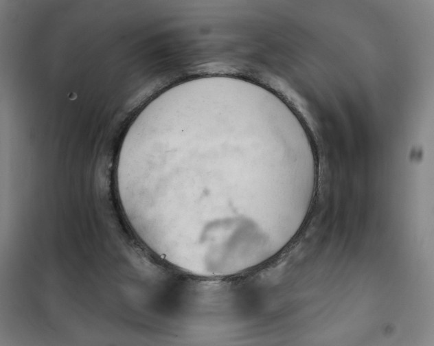 X0000101210153200807251056