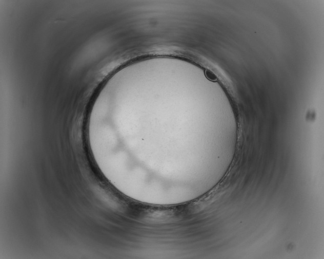 X0000101210155200807251056