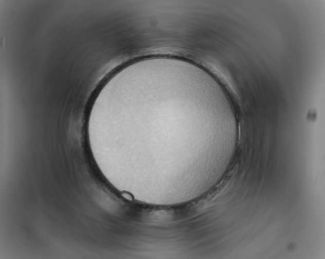 X0000101210156200807251056