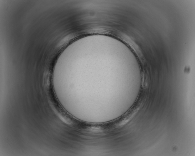 X0000101210157200807251057