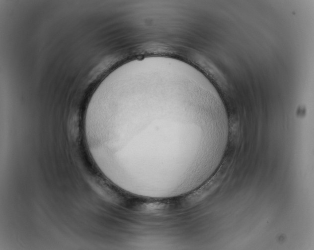 X0000101210158200807251057