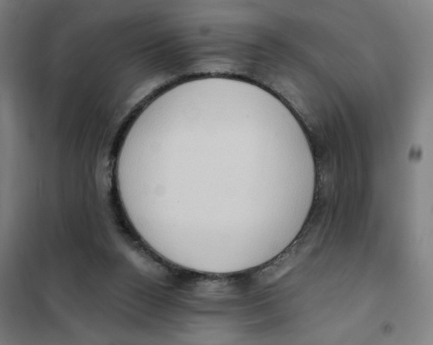 X0000101210160200807251057