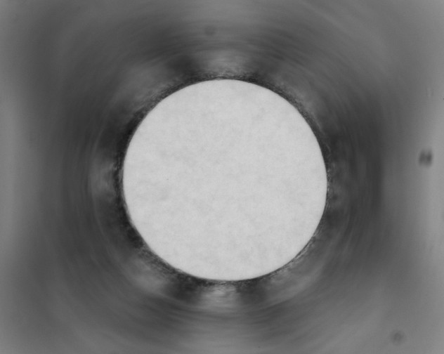 X0000101210162200807251057