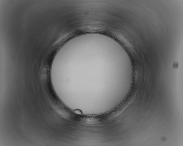 X0000101210165200807251057