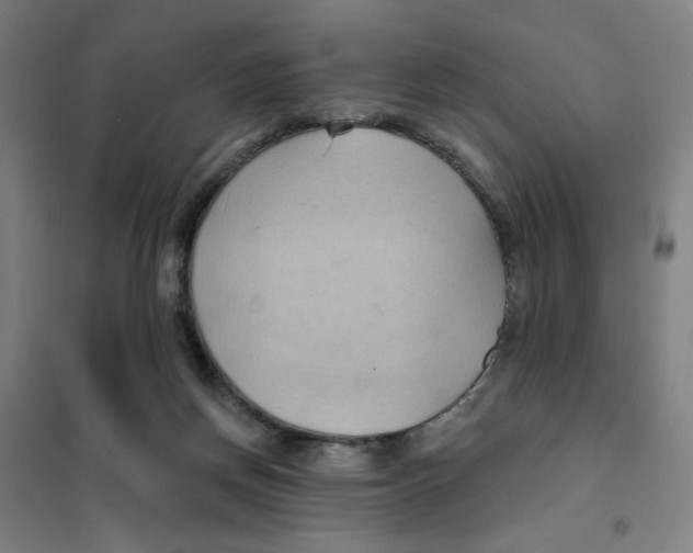 X0000101210166200807251057