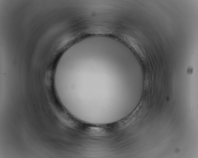 X0000101210167200807251057