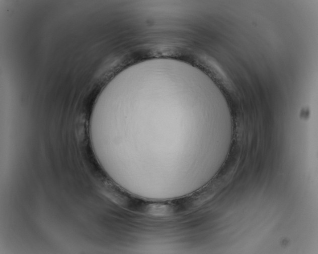 X0000101210169200807251057