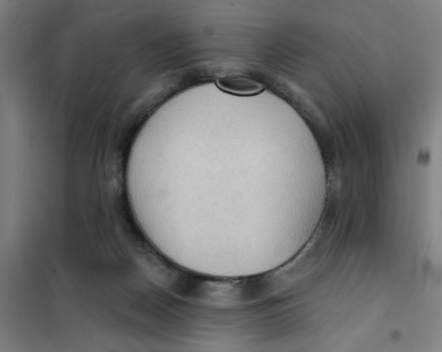 X0000101210170200807251057