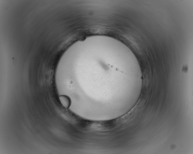 X0000101210171200807251057