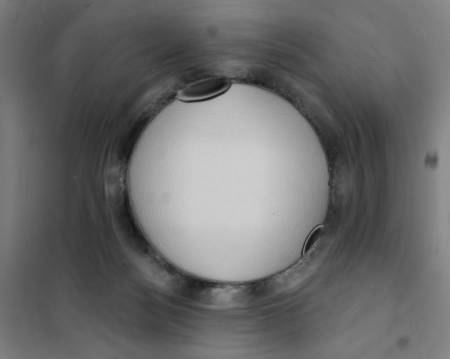 X0000101210172200807251057