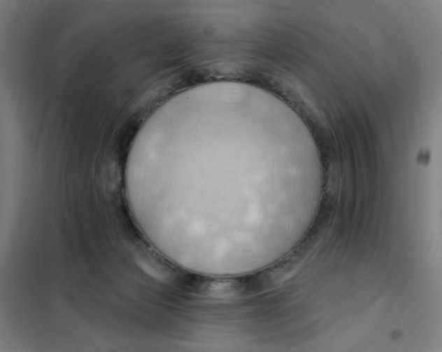 X0000101210173200807251057