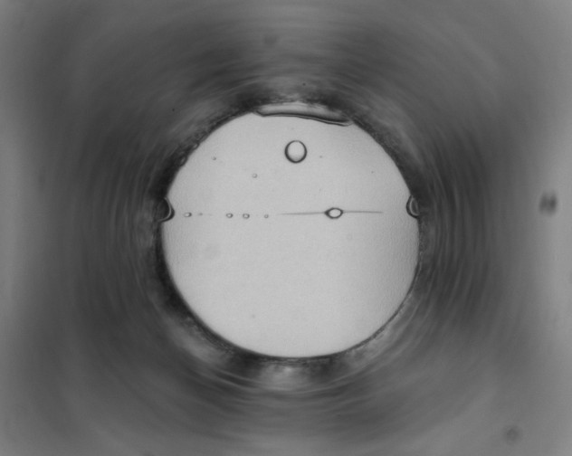 X0000101210174200807251057