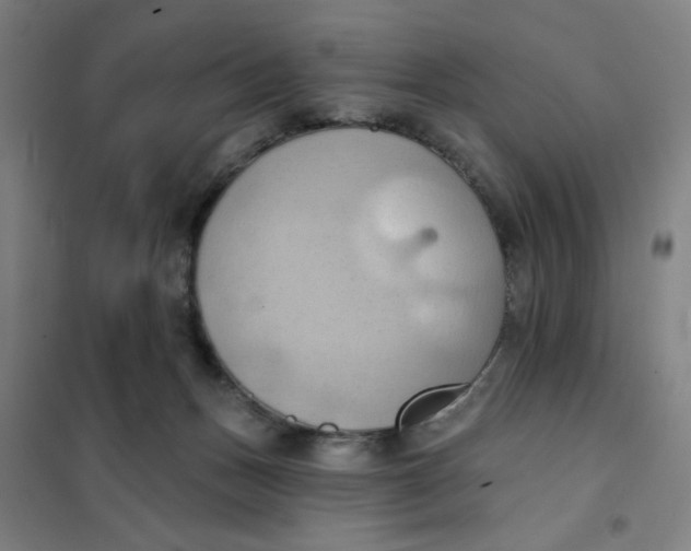 X0000101210175200807251057