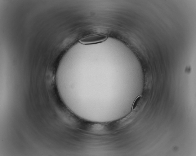 X0000101210176200807251057