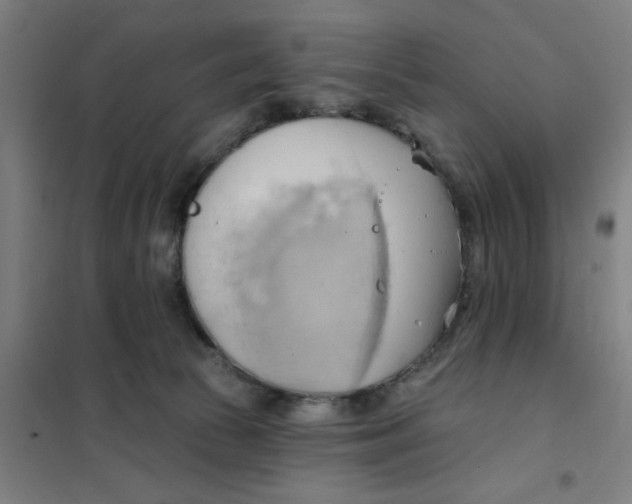 X0000101210177200807251057