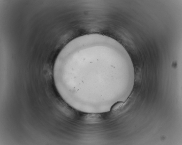 X0000101210179200807251057