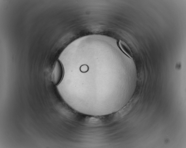 X0000101210180200807251057