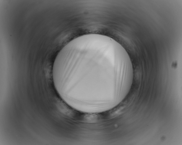 X0000101210181200807251057