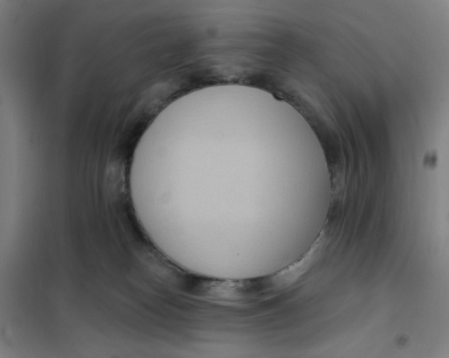 X0000101210182200807251057