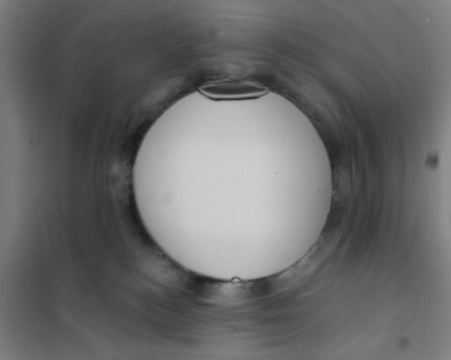 X0000101210184200807251057