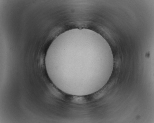 X0000101210185200807251057