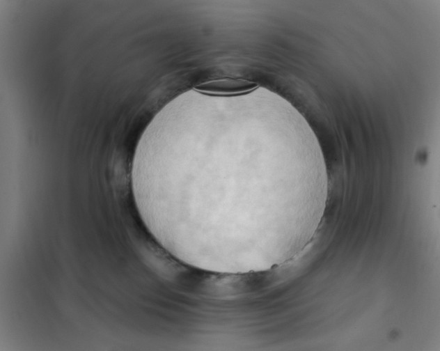 X0000101210186200807251057