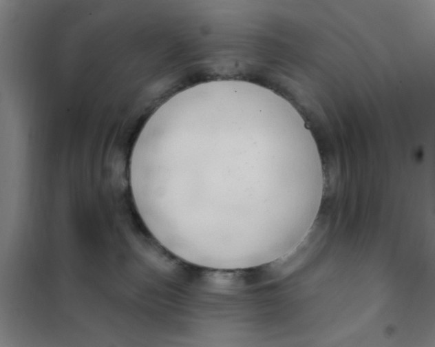 X0000101210187200807251057