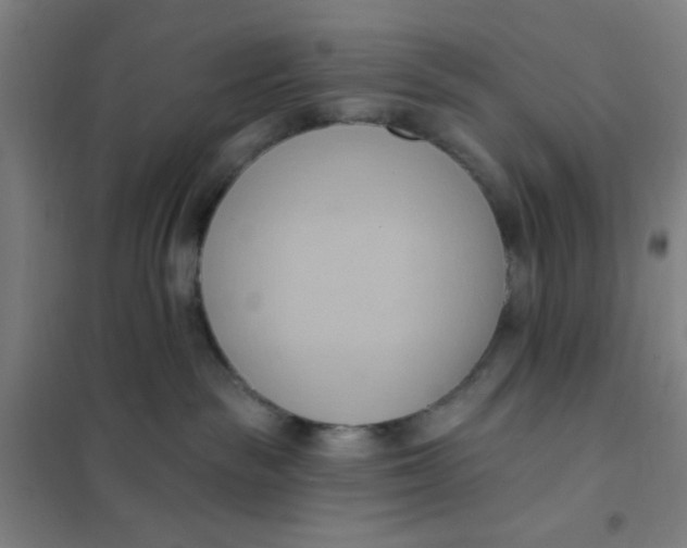 X0000101210189200807251057