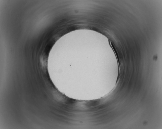 X0000101210190200807251057