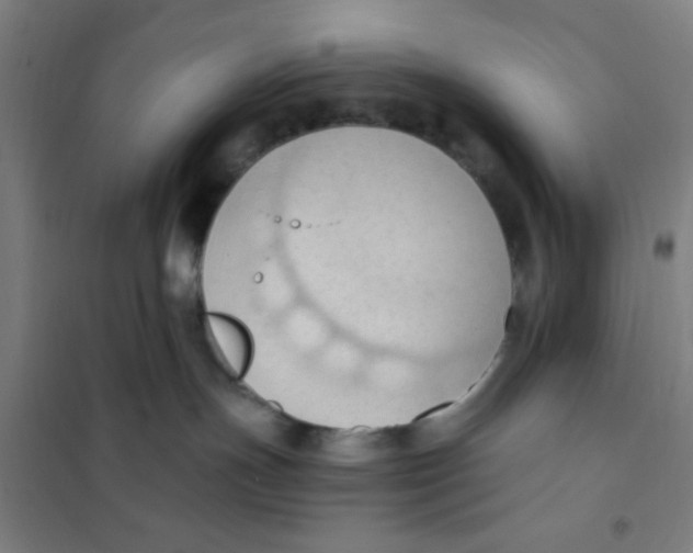 X0000101210191200807251057