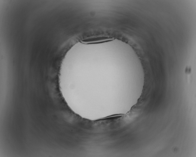 X0000101210192200807251057