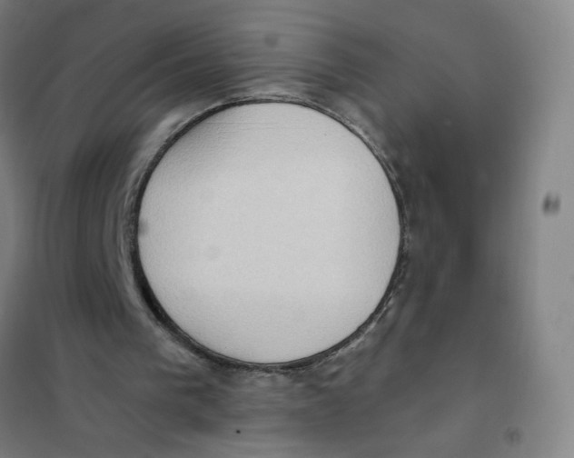 X0000101210193200807251056