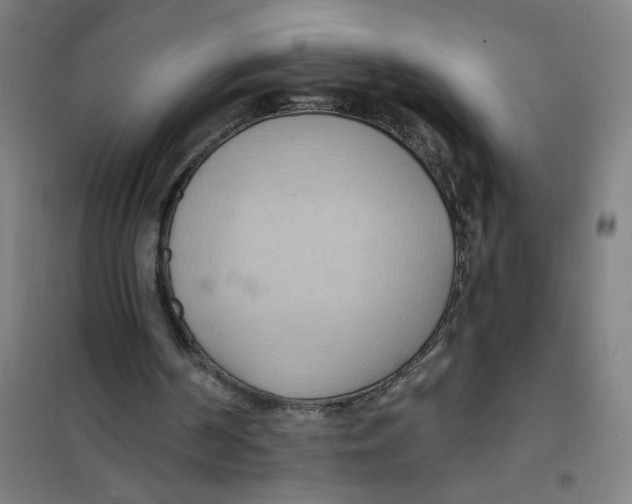 X0000101210194200807251056