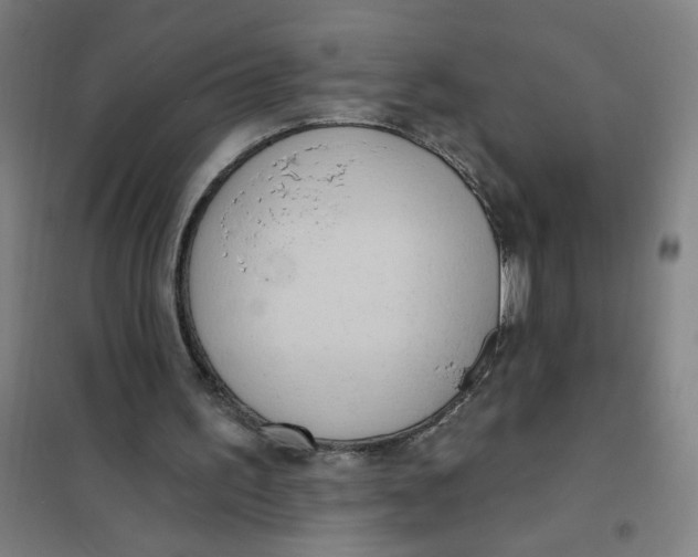 X0000101210195200807251056