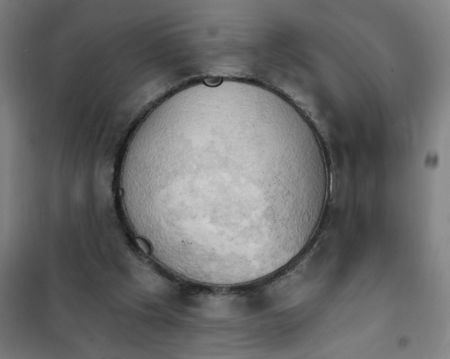 X0000101210201200807251056