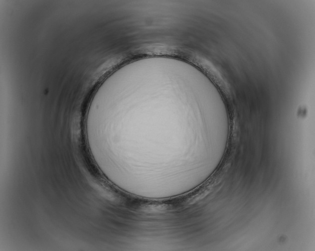 X0000101210202200807251056