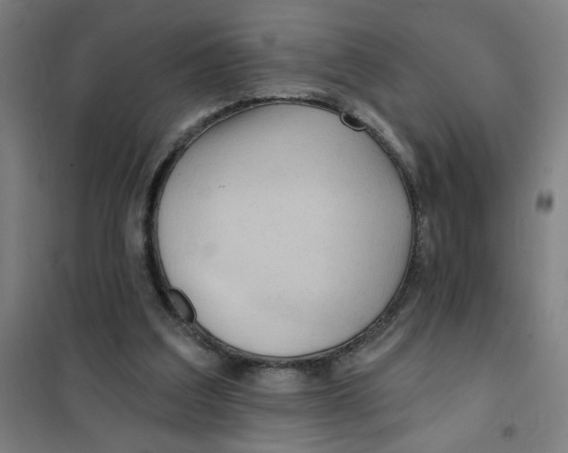 X0000101210203200807251056