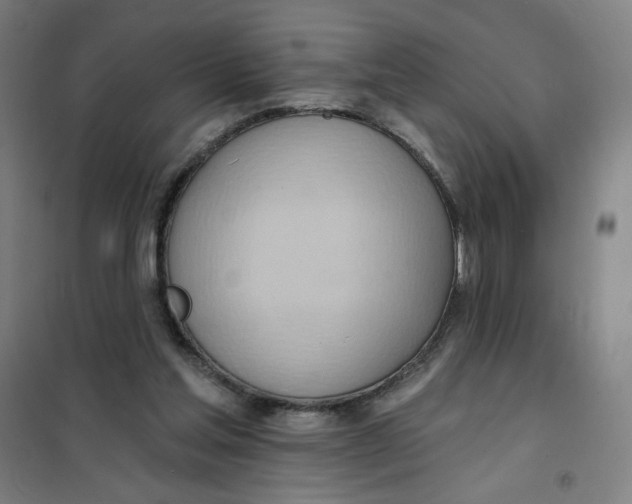 X0000101210205200807251056