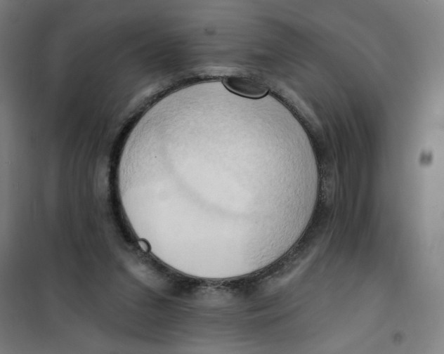 X0000101210207200807251056