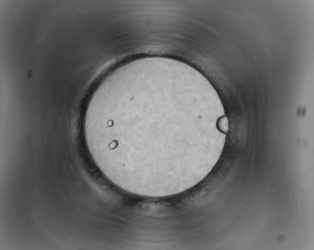 X0000101210208200807251056