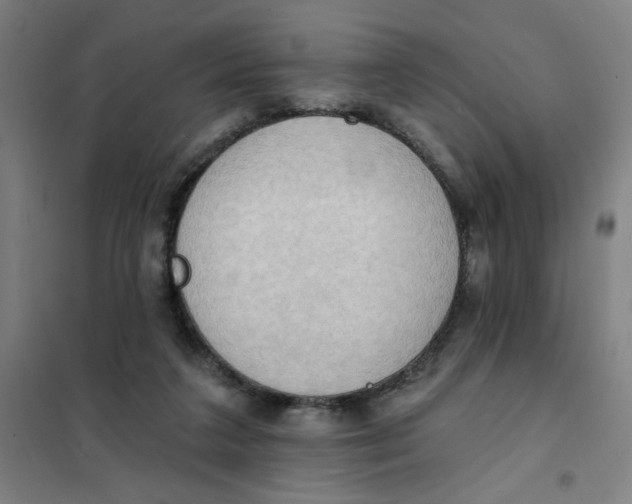 X0000101210211200807251056