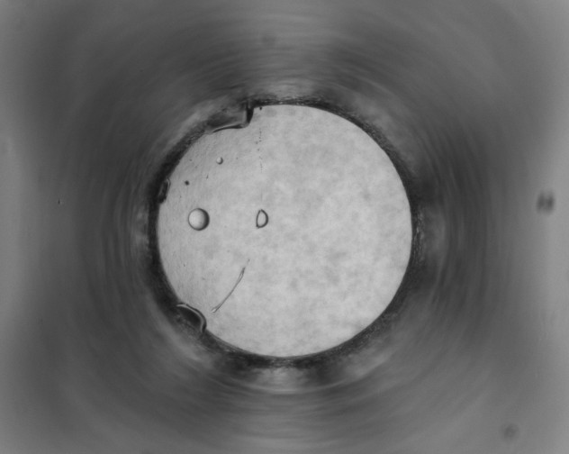 X0000101210212200807251056