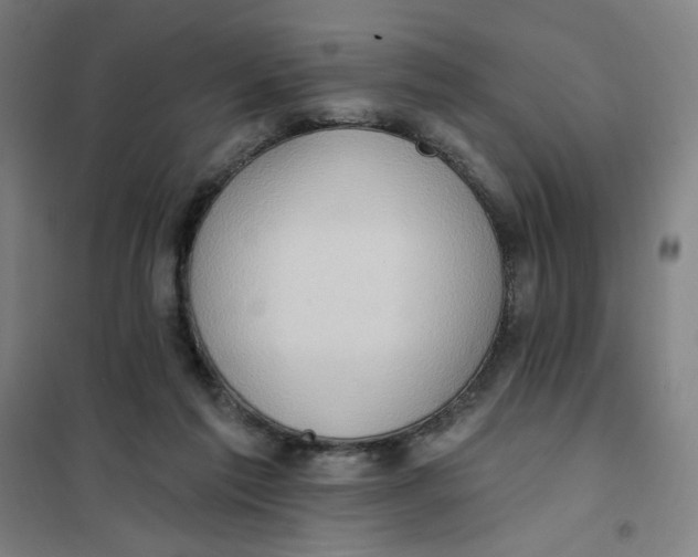 X0000101210213200807251056