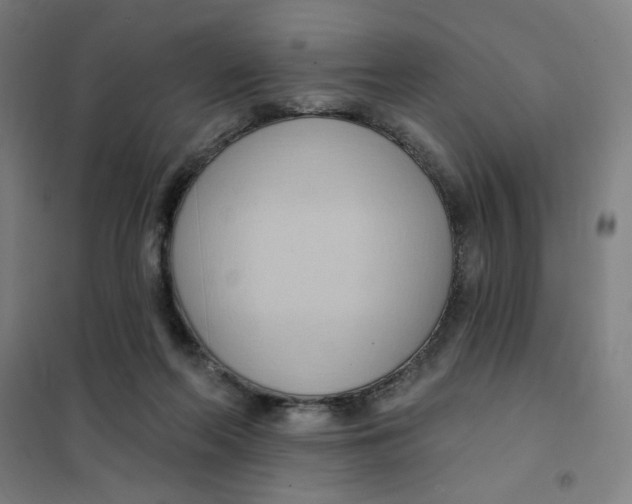 X0000101210214200807251056