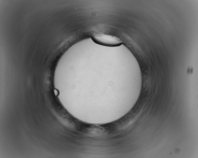 X0000101210215200807251056