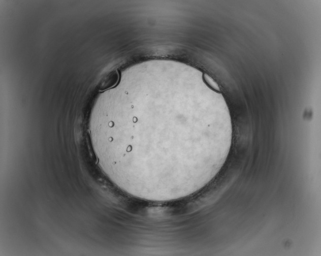 X0000101210216200807251056