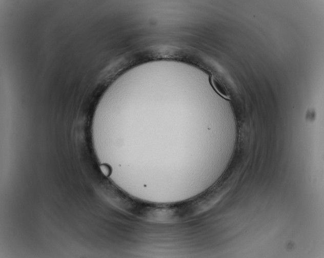 X0000101210217200807251056