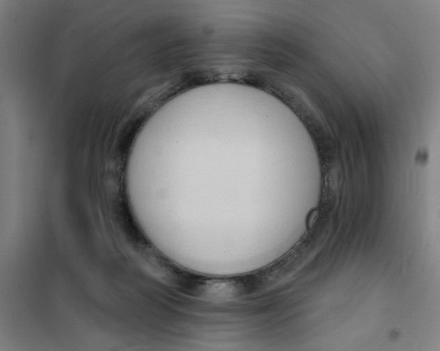 X0000101210218200807251056