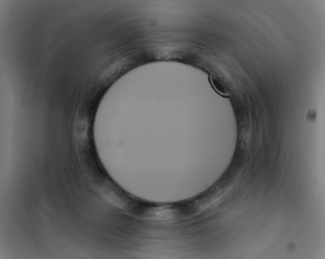 X0000101210219200807251056